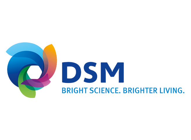 dsmportfo