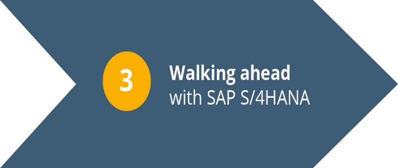 de afbeelding laat de eerste stap zien in de 3 fasen van overstap van ECC naar S/4HANA namelijk: Walking ahead.